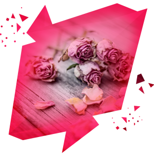 ESQ Womens Heart Journey Problem