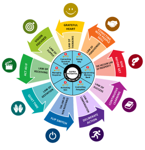 Quantum Excellence Model 2018