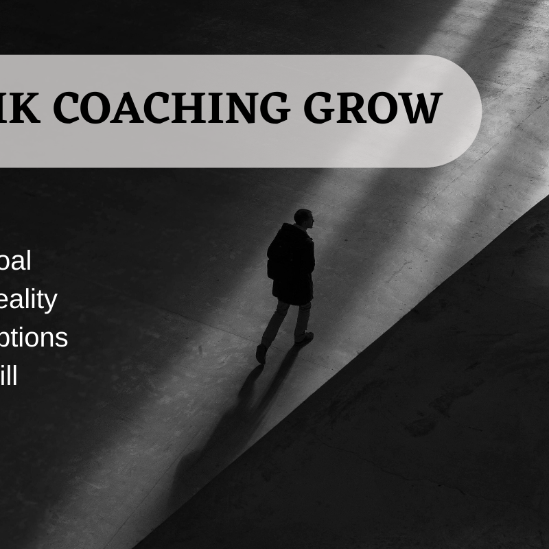 Mengembangkan Potensi Karyawan dengan Teknik Coaching GROW